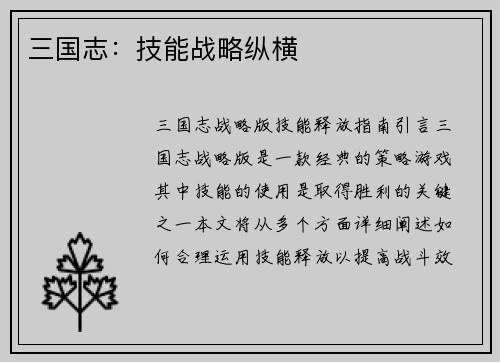 三国志：技能战略纵横